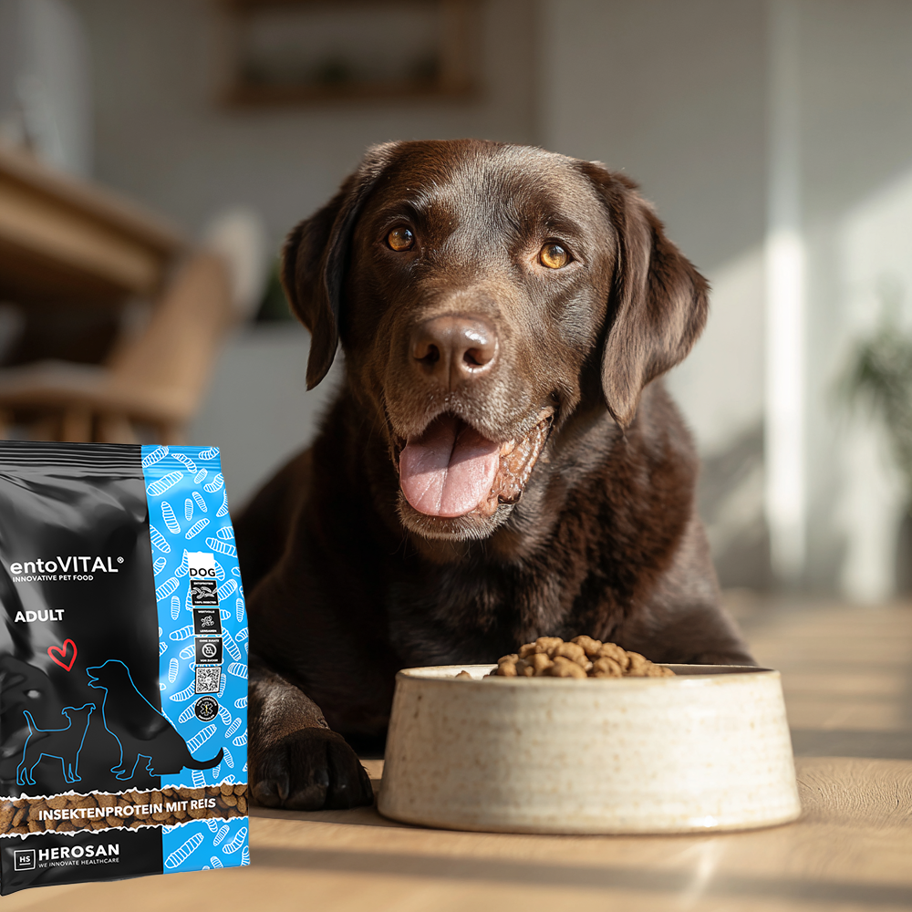 2. Bei der gewohnten Ernährung bleiben