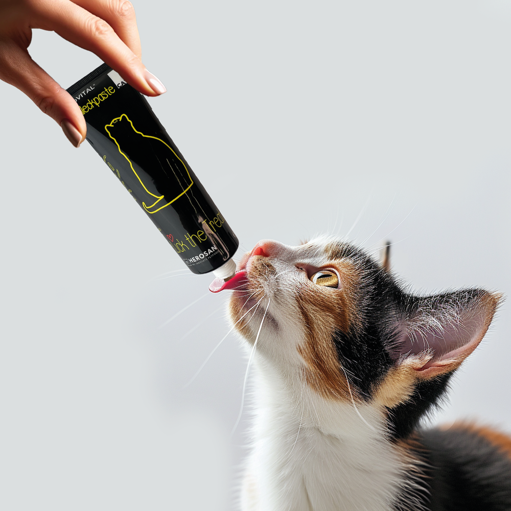 entoVITAL CAT pasta da leccare