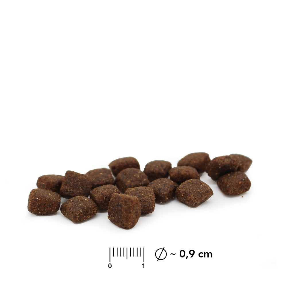 Foto Kibbles: Getreidefreies Trockenfutter mit Insektenprotein für Hunde mit Allergien