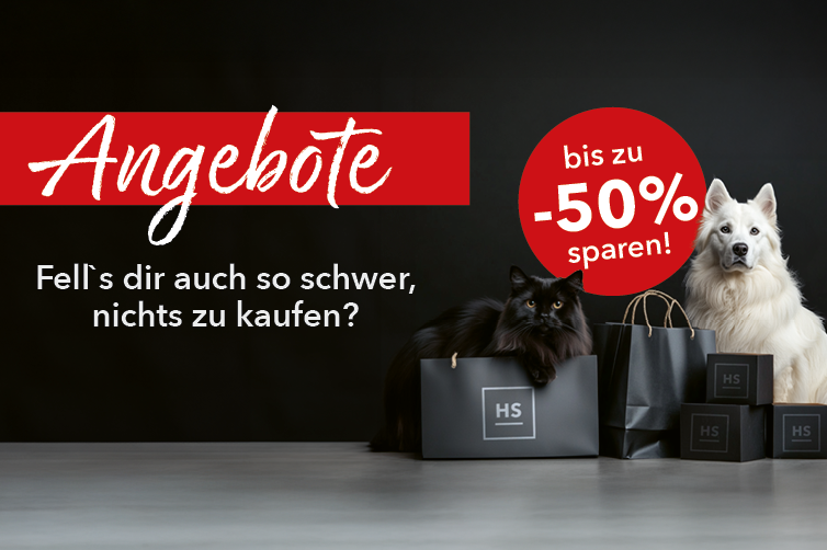 Angebote