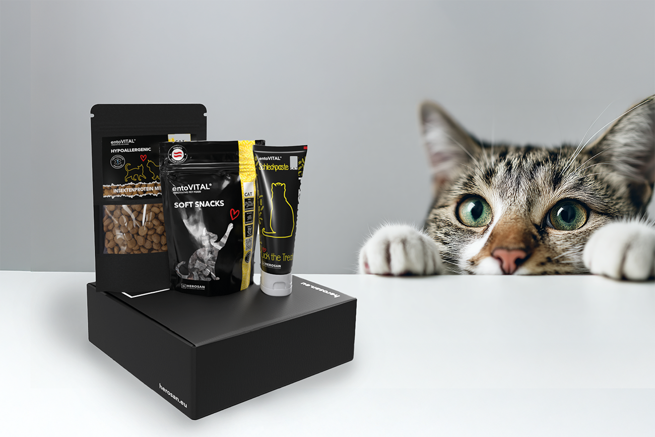 Testboxen für Katzen