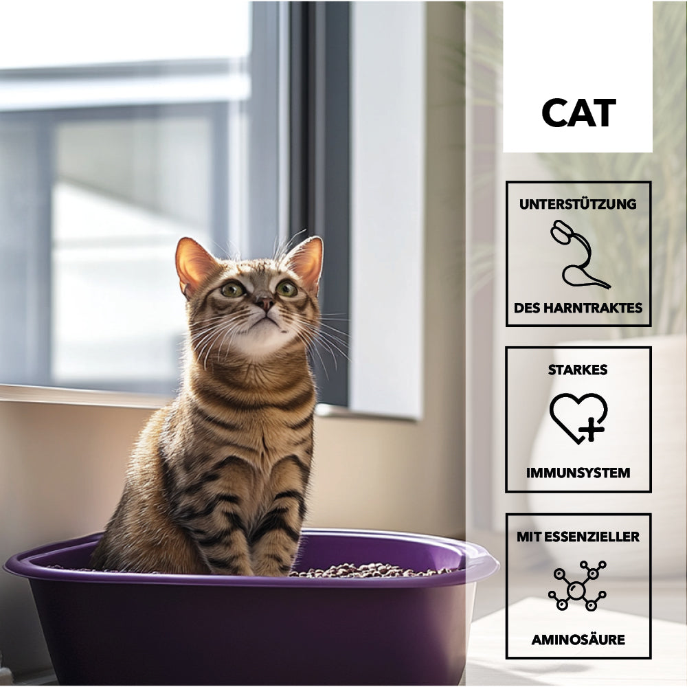 entoVITAL CAT uro care