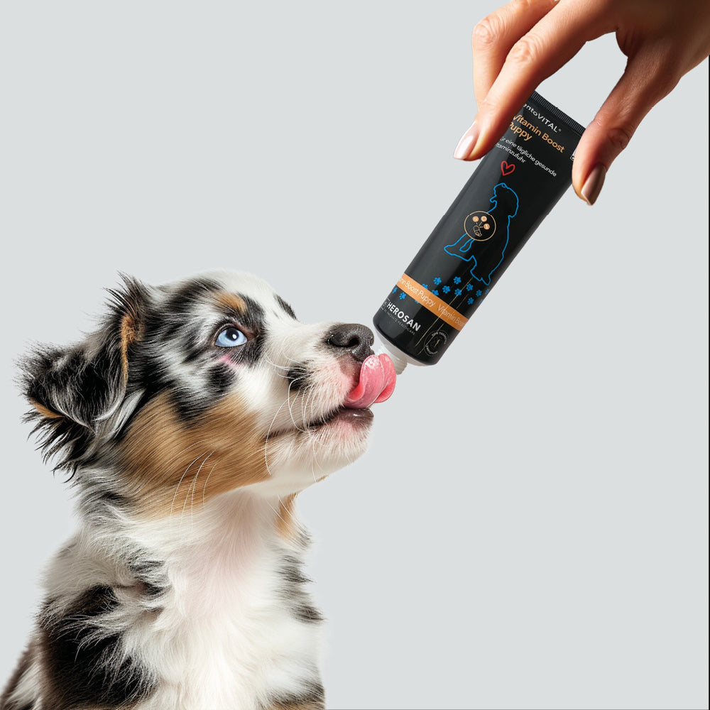 entoVITAL DOG vitamin boost PUPPY