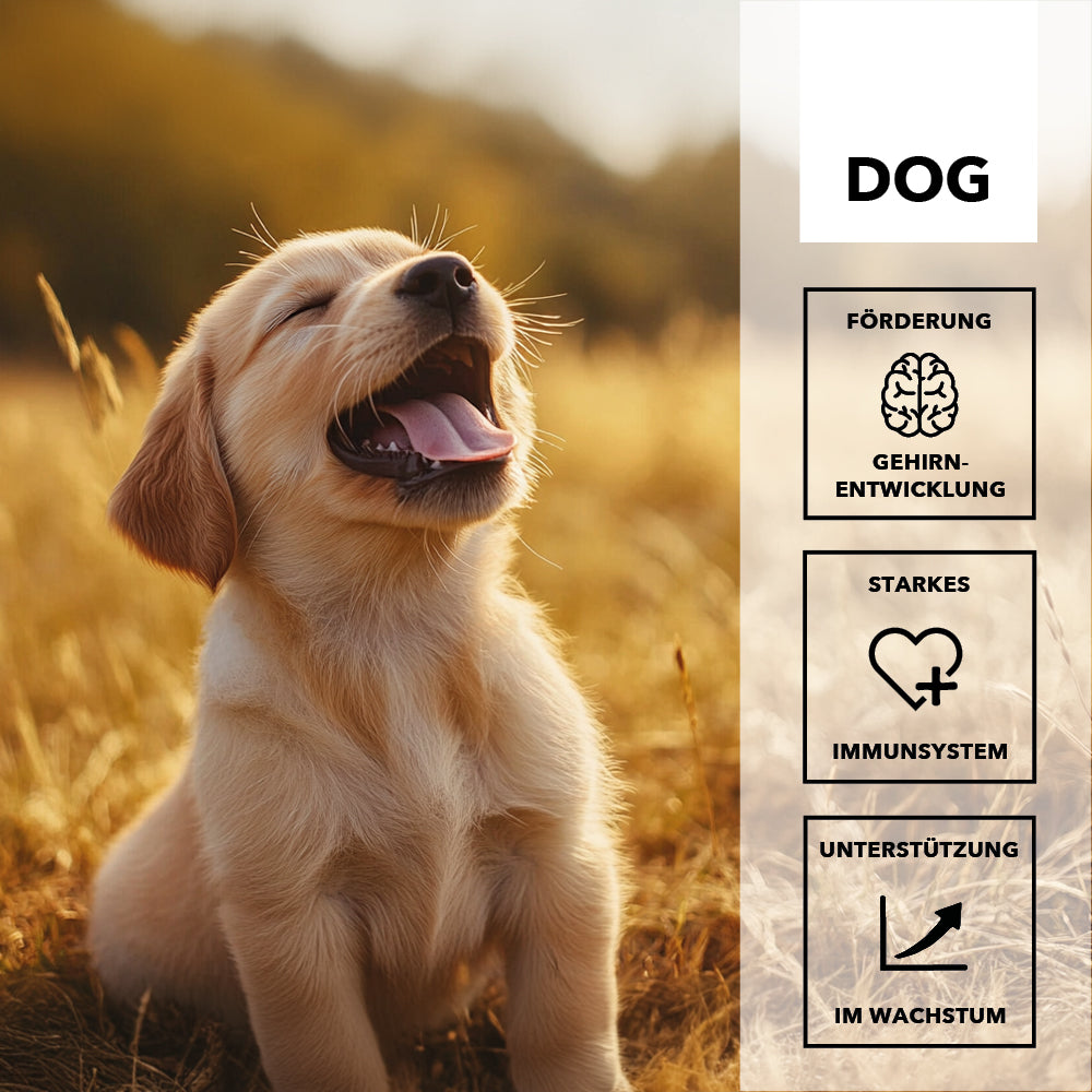 entoVITAL DOG vitamin boost PUPPY