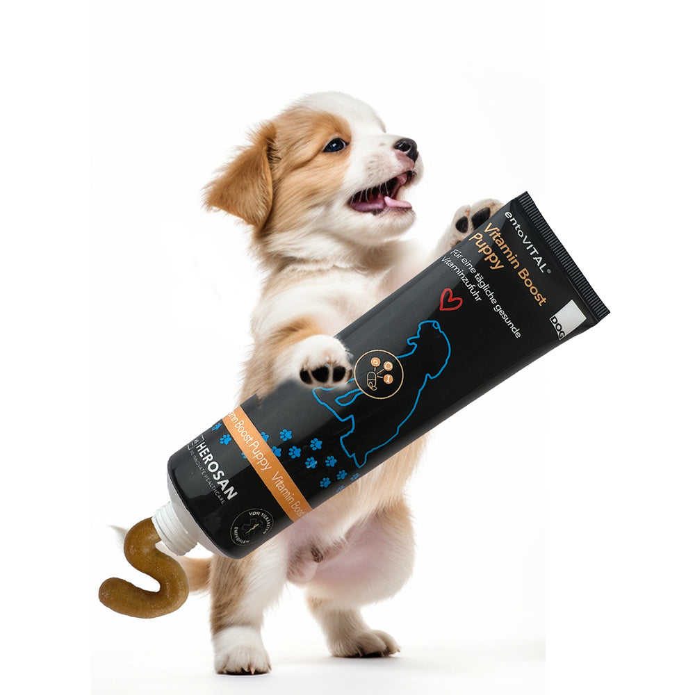 entoVITAL DOG vitamin boost PUPPY