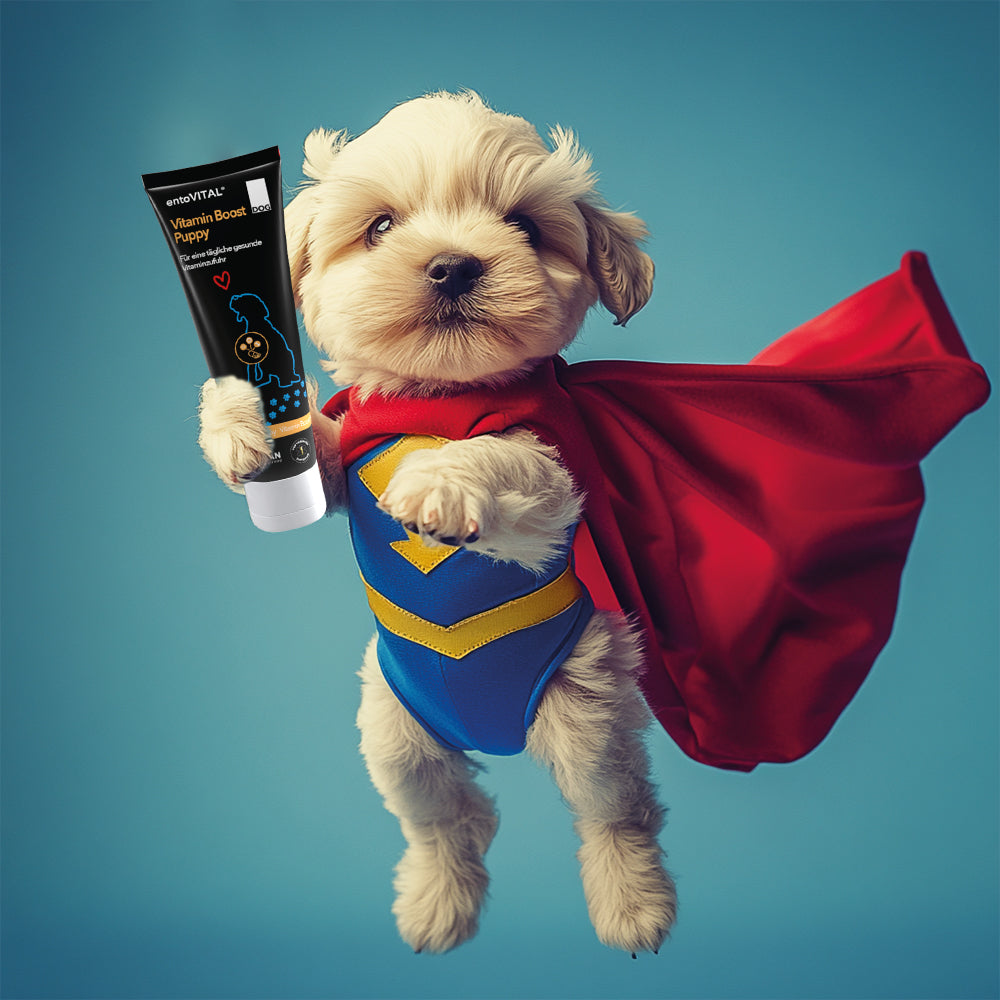 entoVITAL DOG vitamin boost PUPPY
