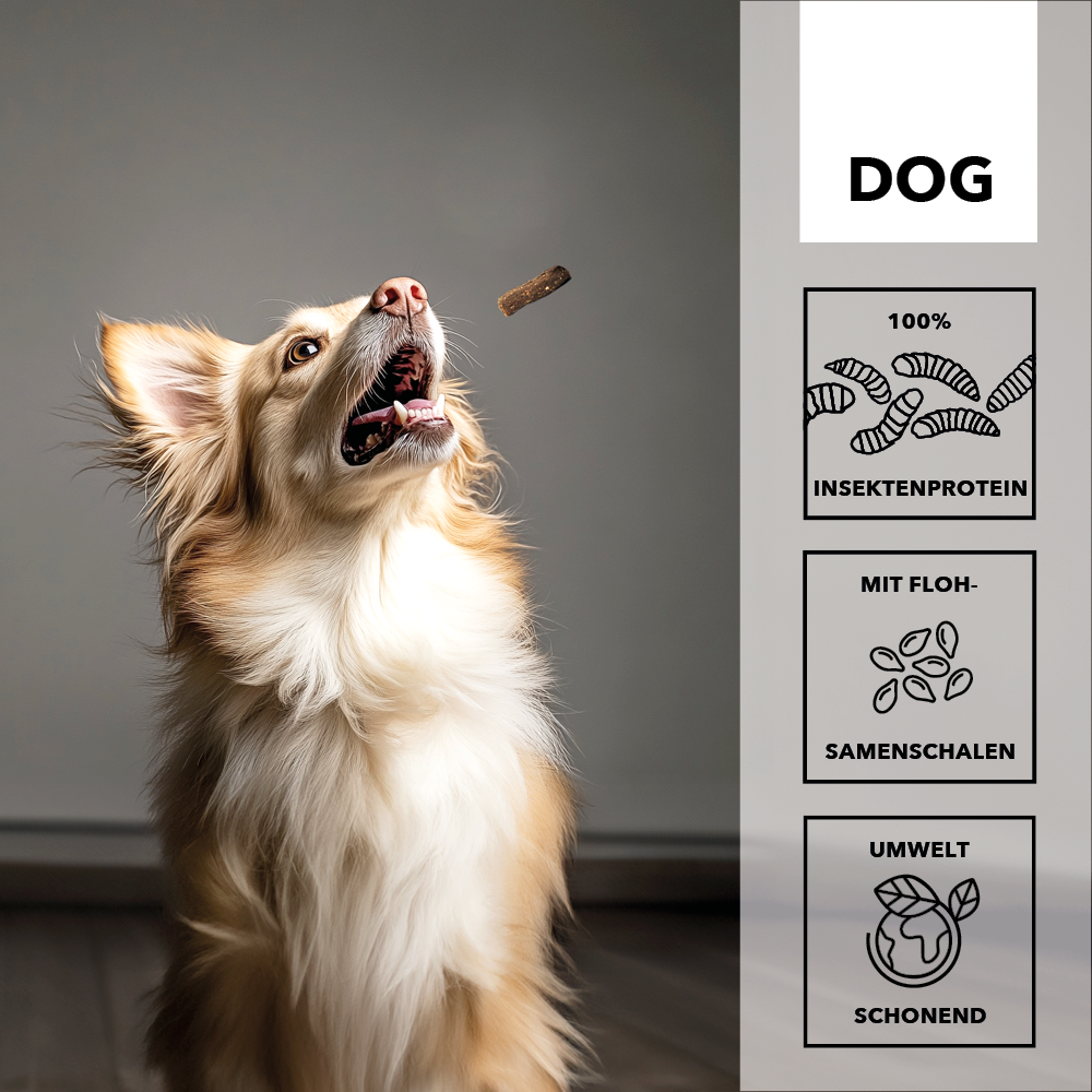 entoVITAL DOG Snack Morbidi