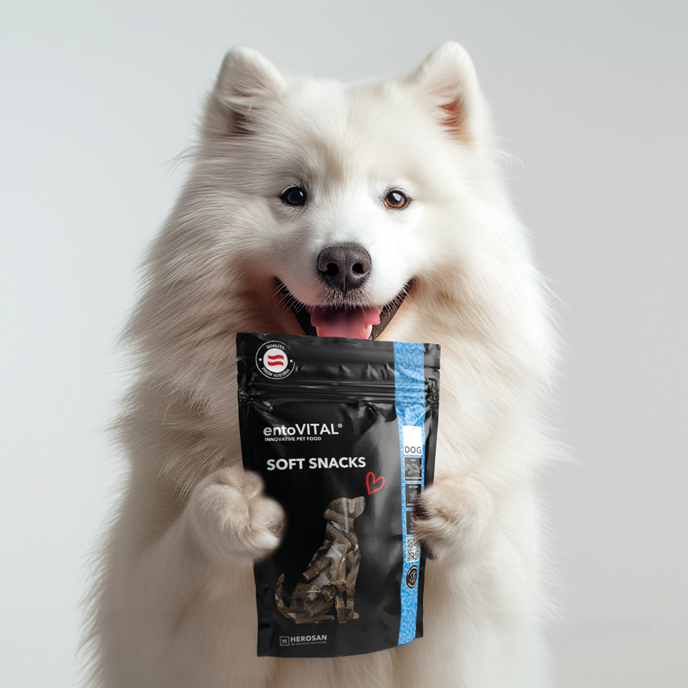 entoVITAL DOG Snack Morbidi
