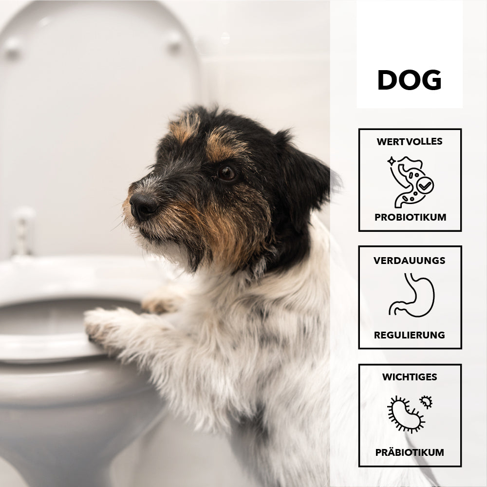 entoVITAL DOG stop&go - integratore alimentare