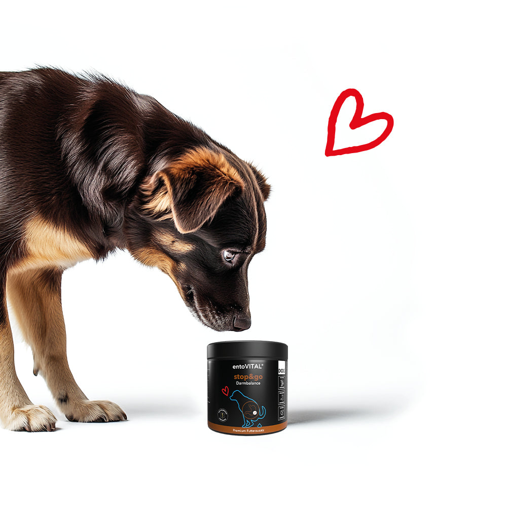 entoVITAL DOG stop&go - integratore alimentare