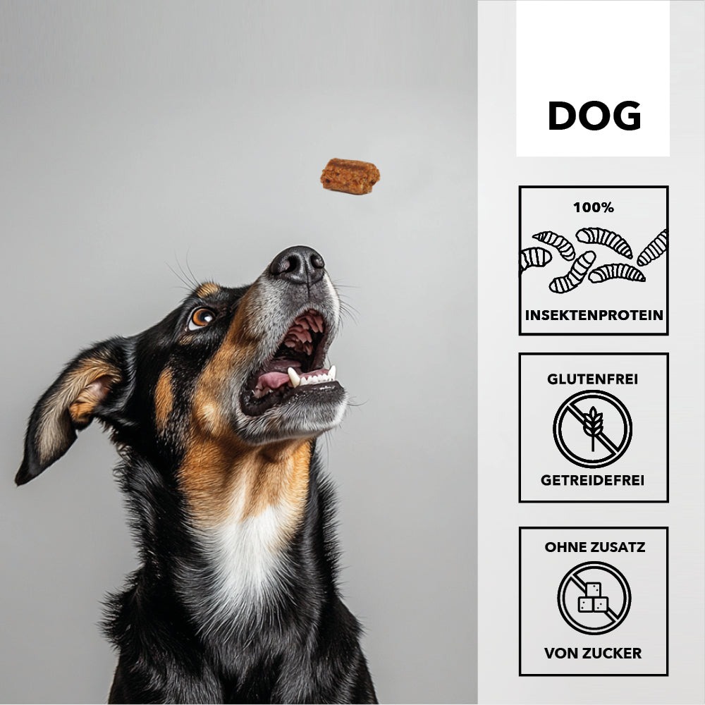 entoVITAL DOG dolcetti e dolcetti