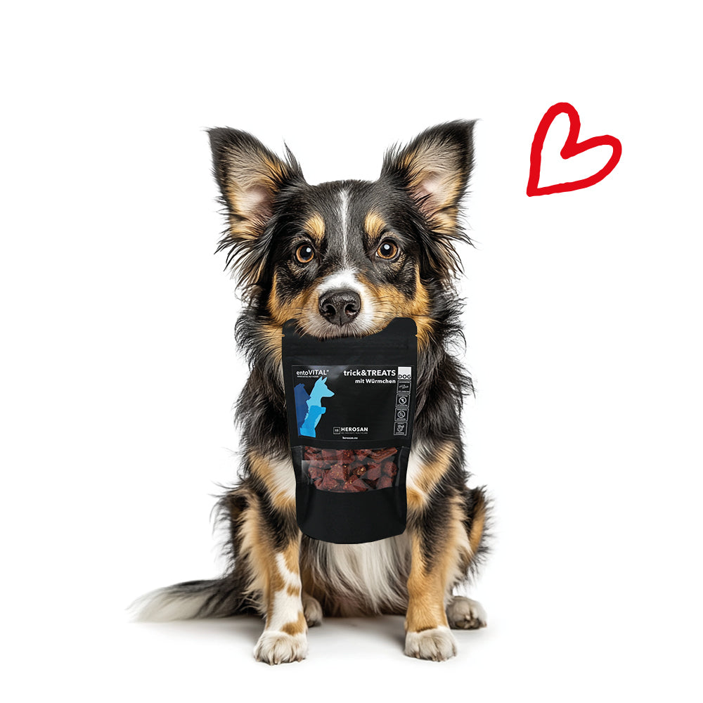 entoVITAL DOG dolcetti e dolcetti