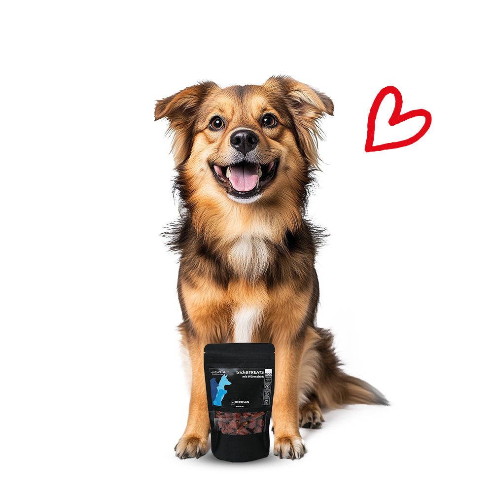 entoVITAL DOG dolcetti e dolcetti