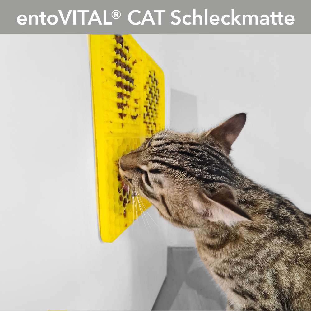Foto einer Katze, die an einer Wand befestigten entoVITAL CAT Schleckmatte genüsslich schleckt