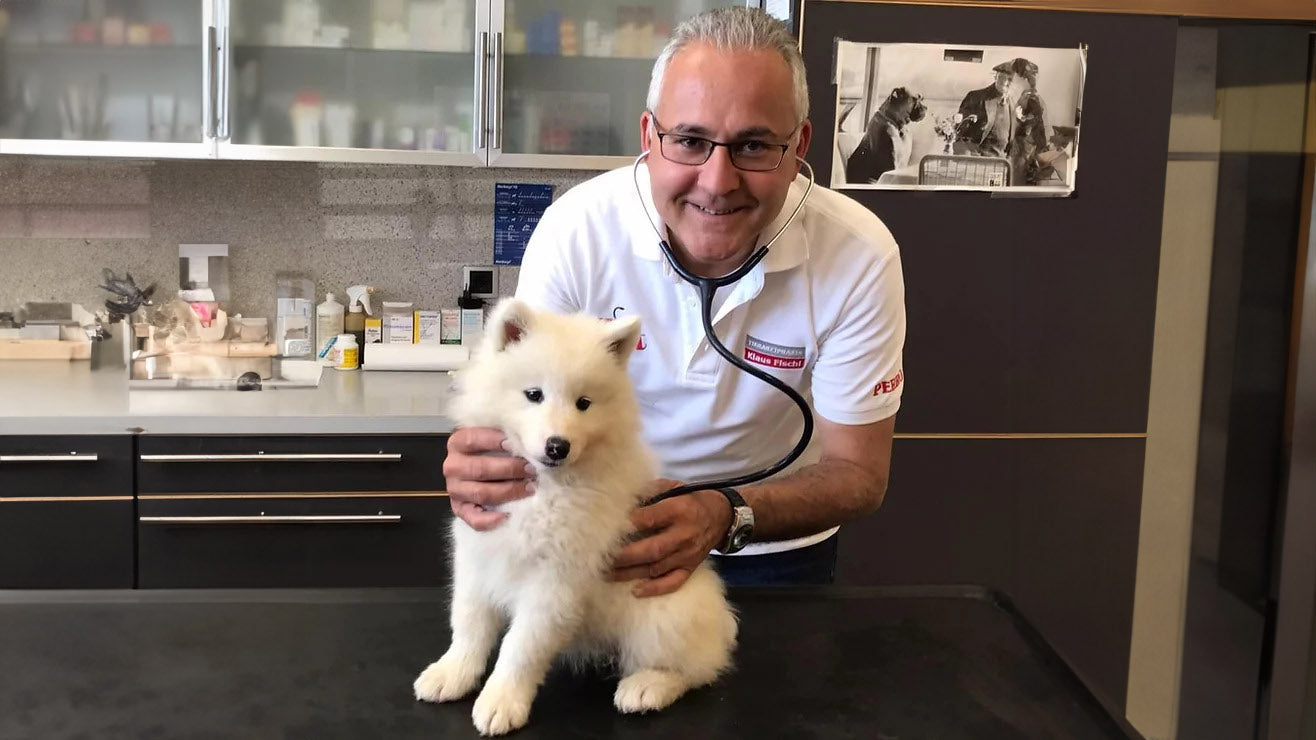 Tierarzt Mag. med. vet. Klaus Fischl mit einem Hund in seiner Tierarztpraxis
