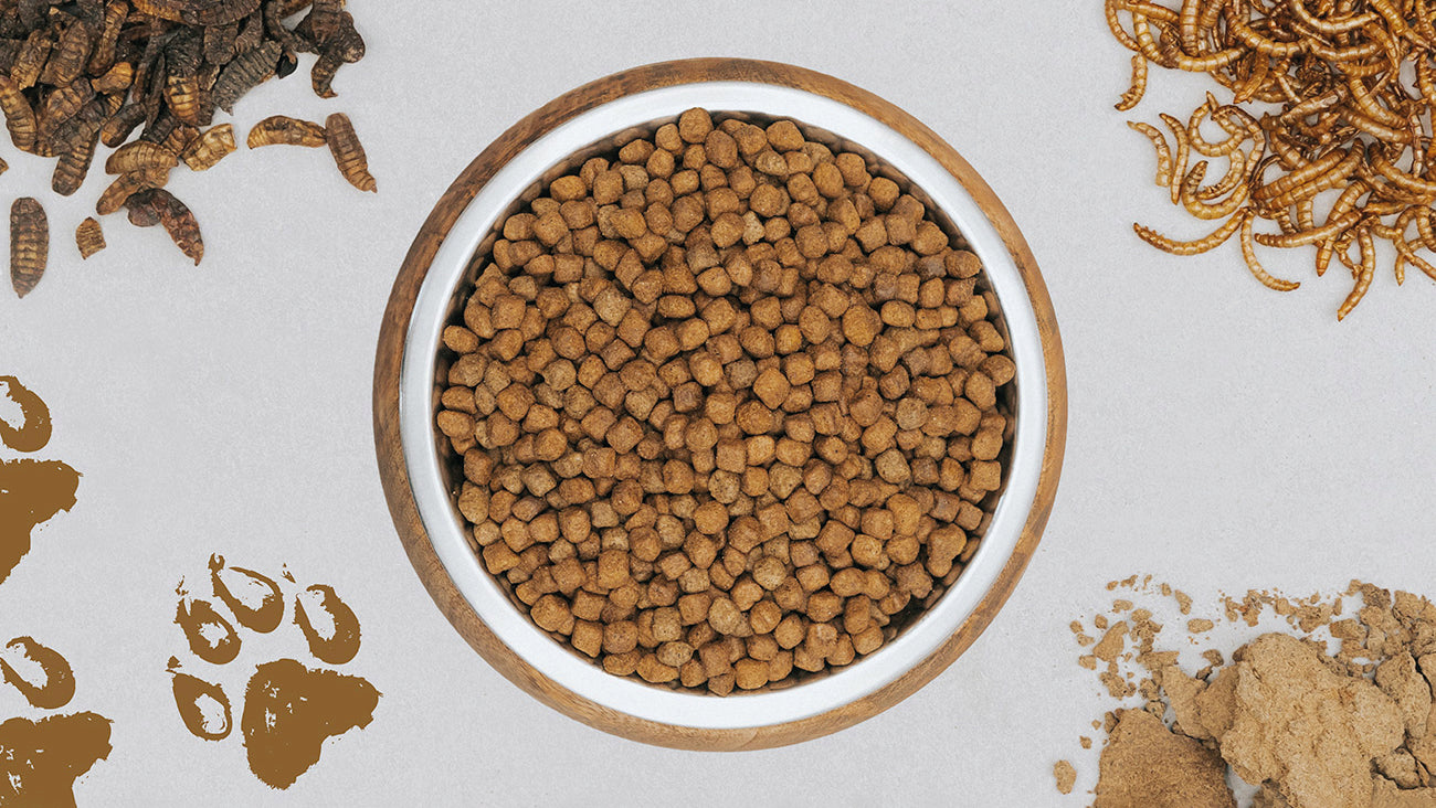 Futterschüssel gefüllt mit entoVITAL DOG oder CAT hypoallergenic, SENSITIV oder PUPPY Trockenfutter