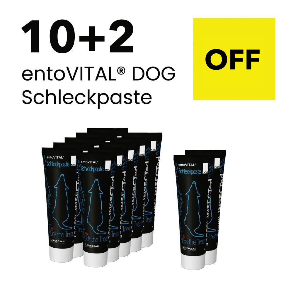 Foto der 10+2 Vorteilspackung entoVITAL® DOG Schleckpaste, die 12 Tuben der 100 g hypoallergenen Insektenpaste für Hunde zeigt. Diese Premium-Qualität Schleckpasten sind ideal als Belohnung oder für die Medikamentenverabreichung und kommen zum Preis von 10 Tuben, ermöglicht Einsparungen bei der Bestellung dieser Variante.