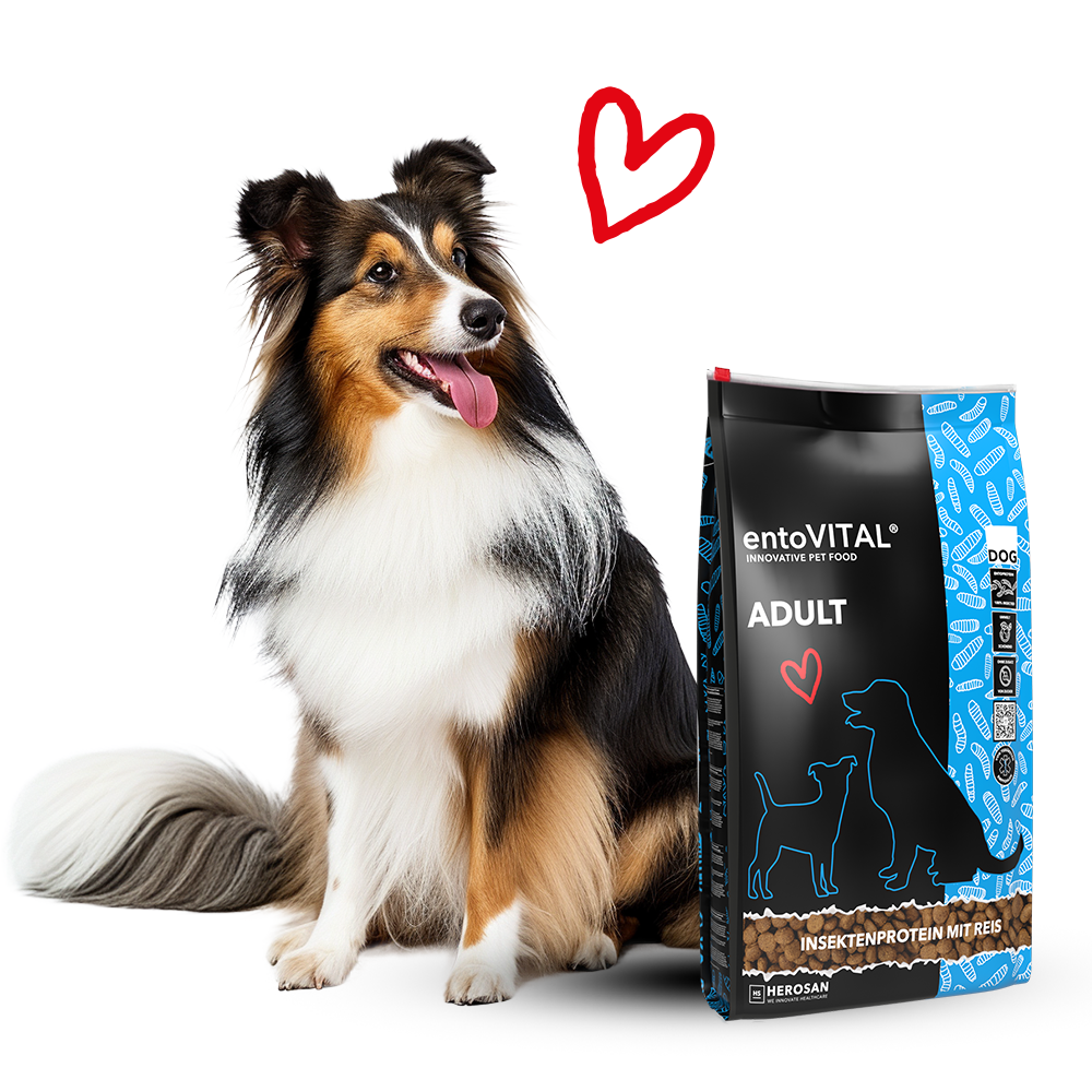 entoVITAL DOG ADULT