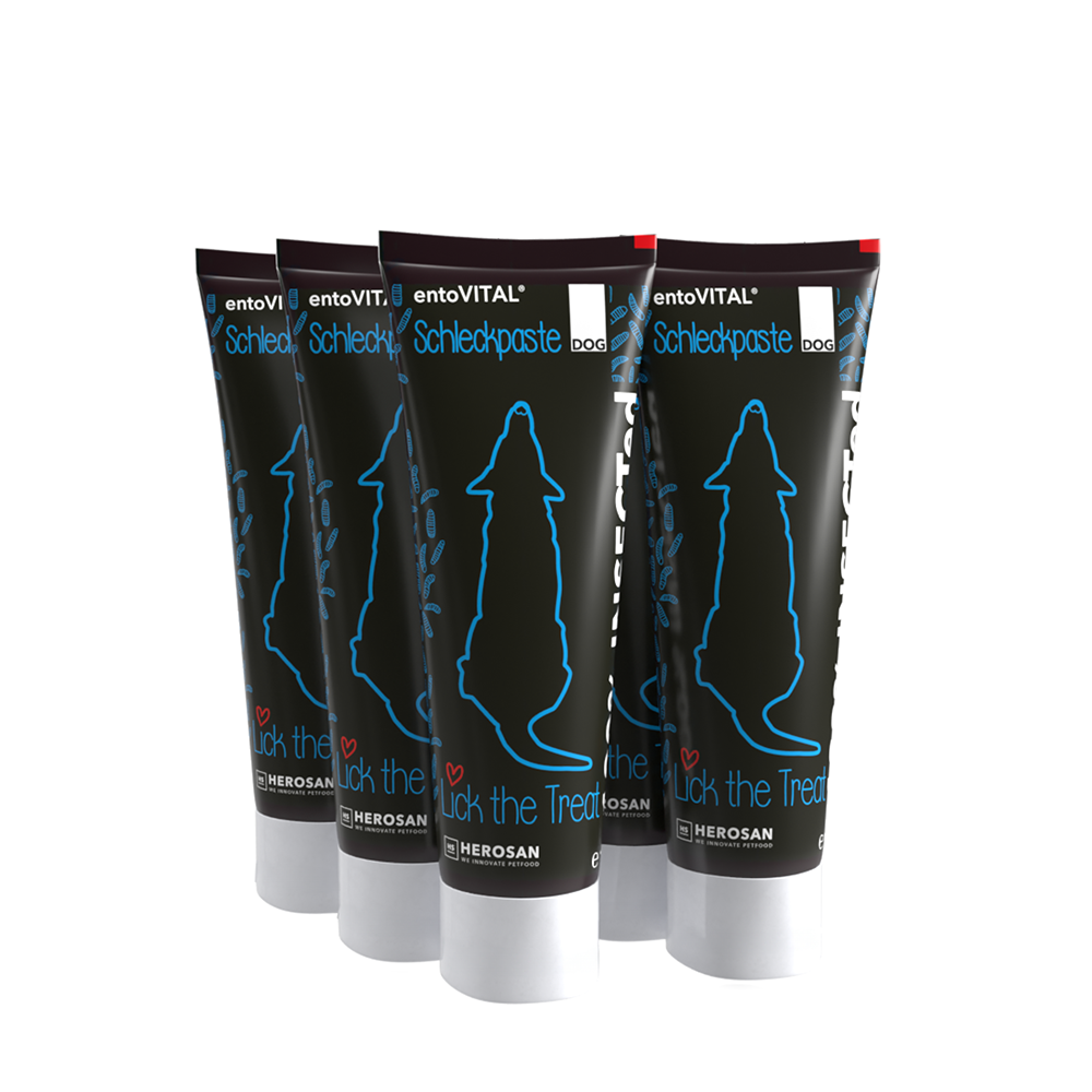 entoVITAL DOG ​​pasta gustosa (confezione da 6) 