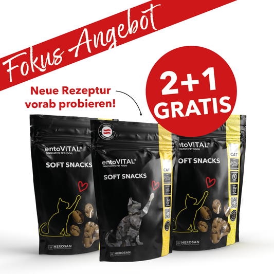 entoVITAL CAT Snack morbidi