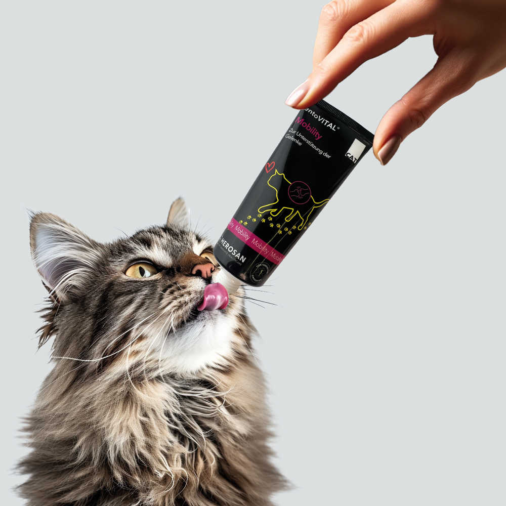 entoVITAL CAT mobility