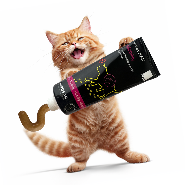 entoVITAL Schleckpasten Probierpaket