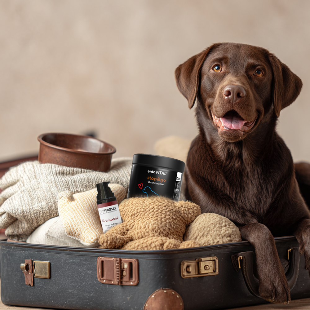 3. Reise-Set packen
