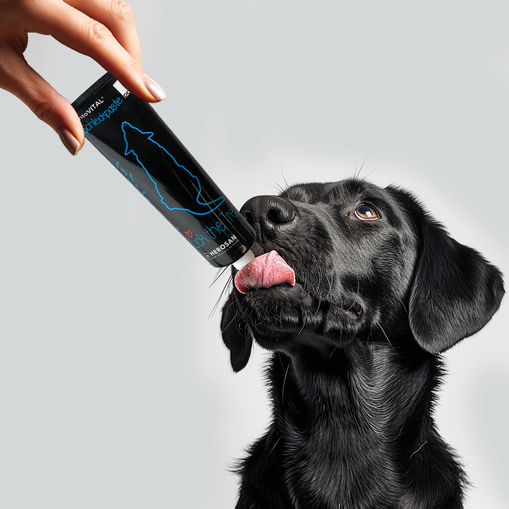 Foto Verwendung der Schleckpaste für Hunde aus Insekten