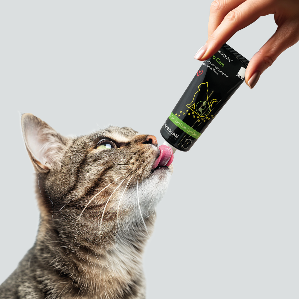 entoVITAL CAT uro care