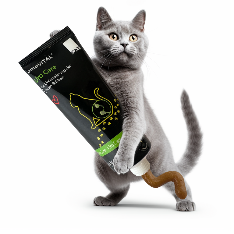 entoVITAL Schleckpasten Probierpaket