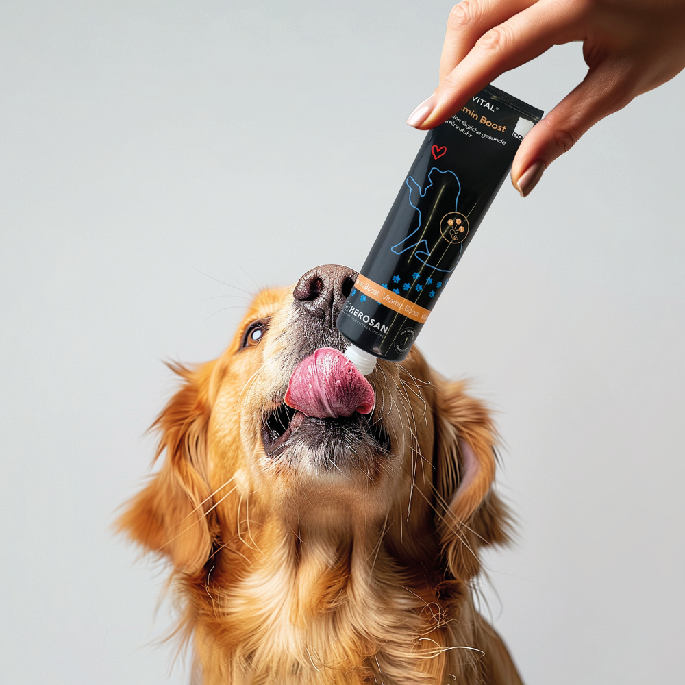 entoVITAL DOG ​​potenziamento vitaminico