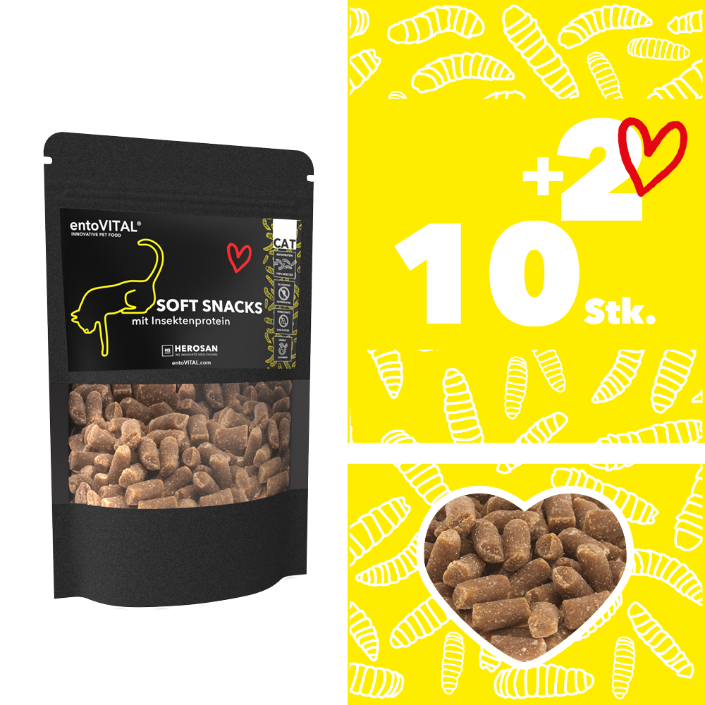 Foto der 10+2 Vorteilspackung von entoVITAL® CAT Soft Snacks, die insgesamt 12 Einheiten der 100 g Snack-Packungen für Katzen enthält, zum Preis von 10. Diese Vorteilspackung ist eine wirtschaftliche und bequeme Möglichkeit, Ihre Katze mit qualitativ hochwertigen Snacks zu versorgen
