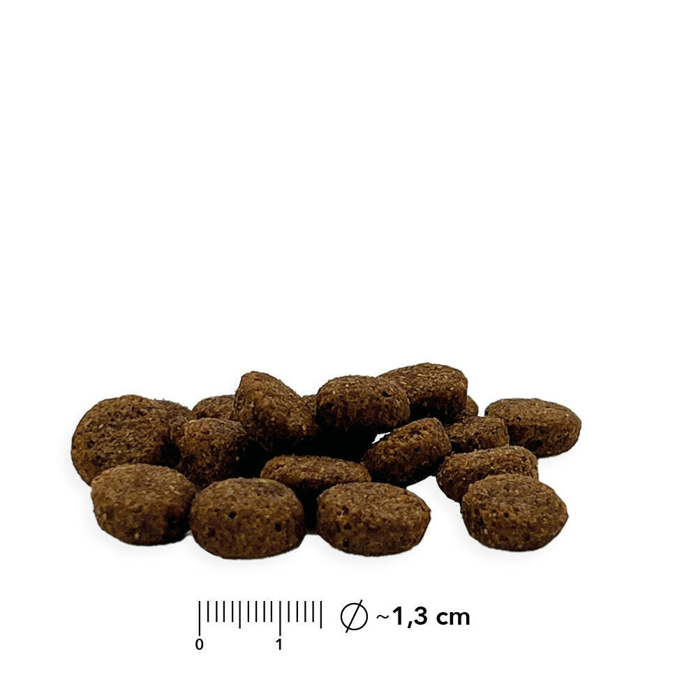 entoVITAL DOG ​​ADULT