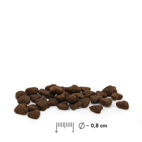 entoVITAL CUCCIOLO DI CANE