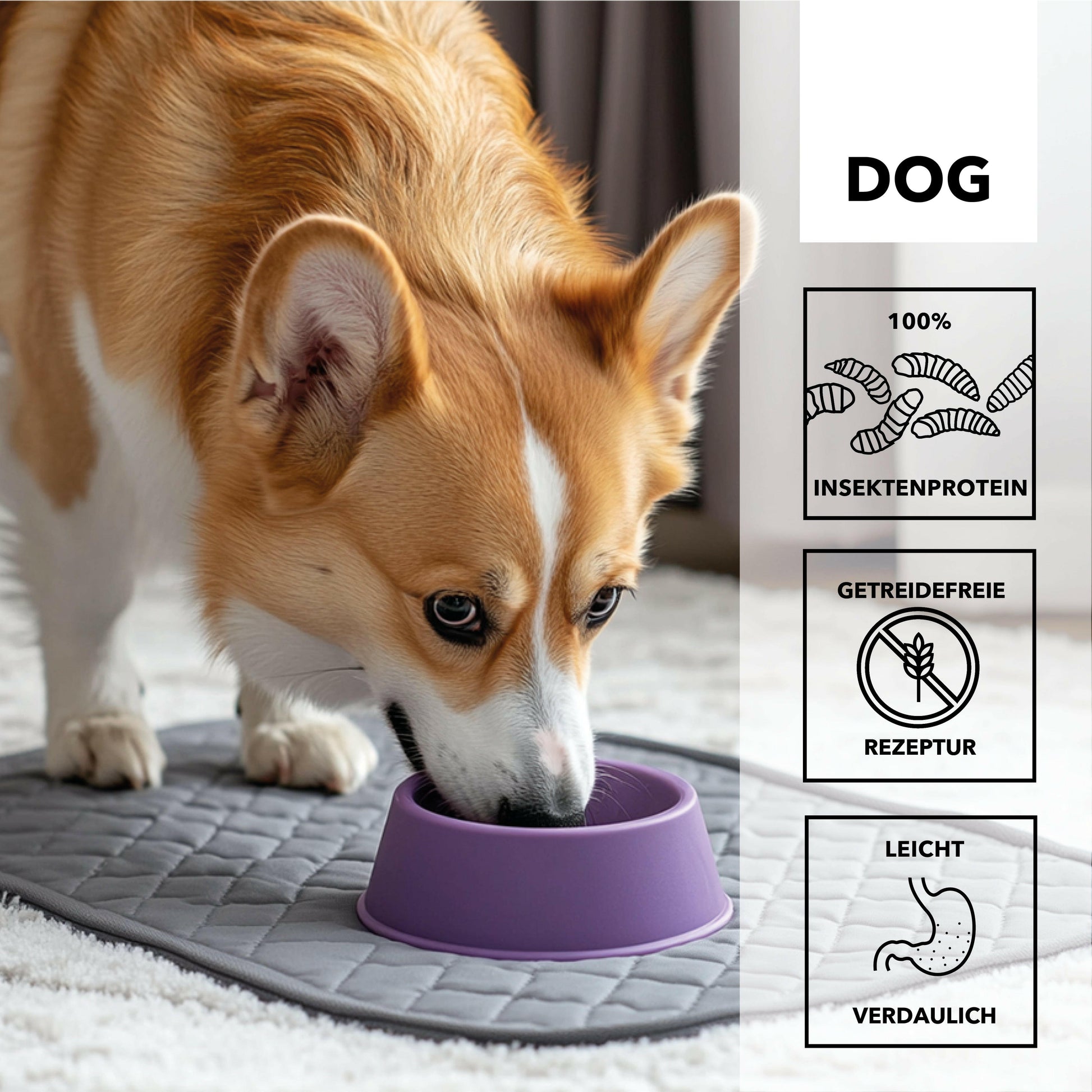 entoVITAL DOG HYPOALLERGENIC Nassfutter