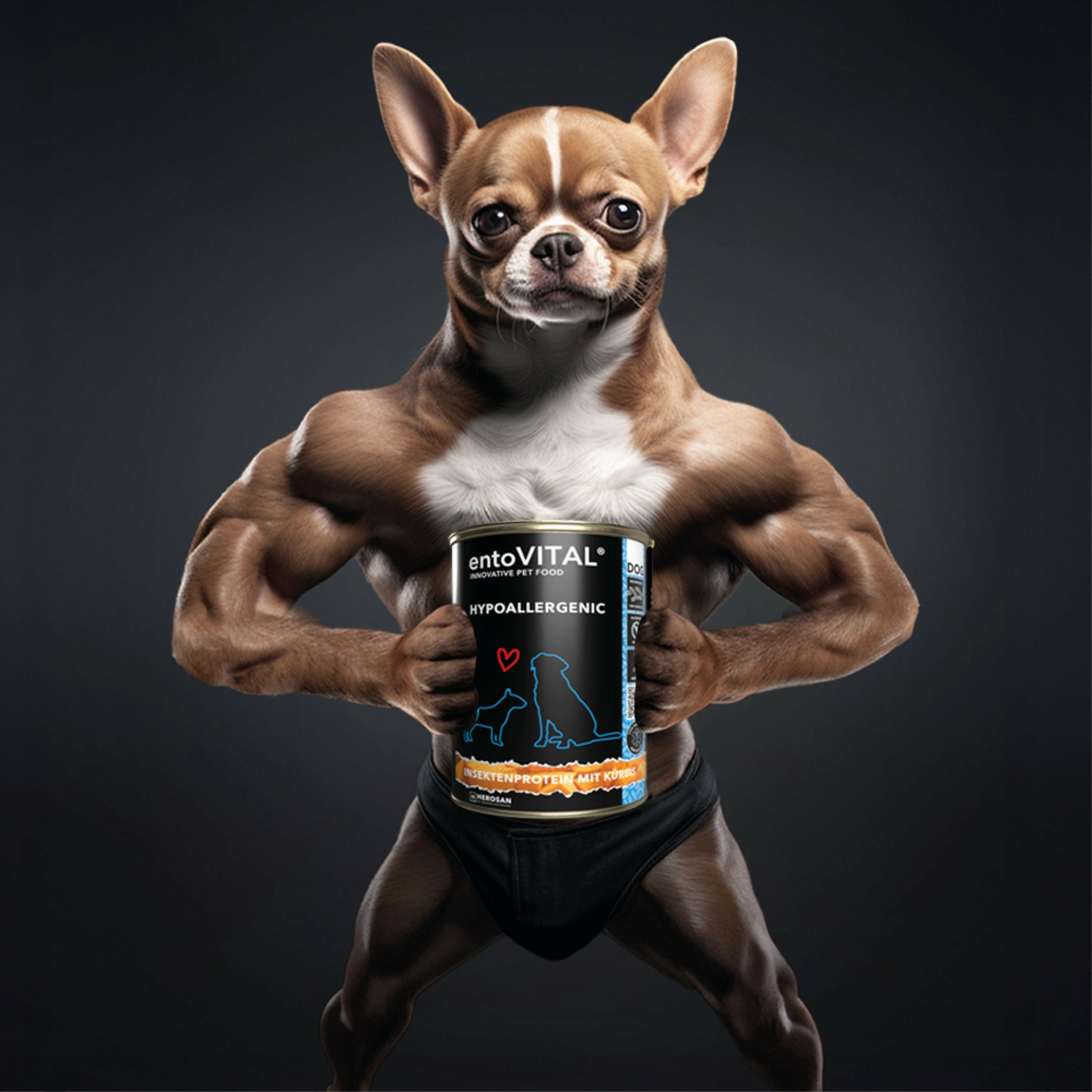 entoVITAL DOG HYPOALLERGENIC Nassfutter