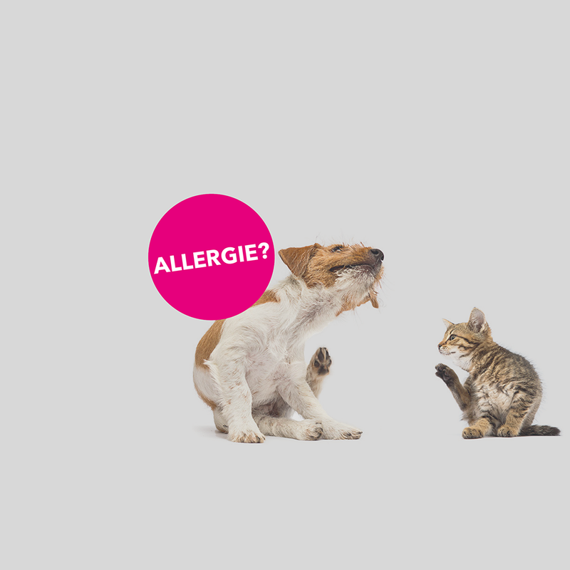 Allergia?