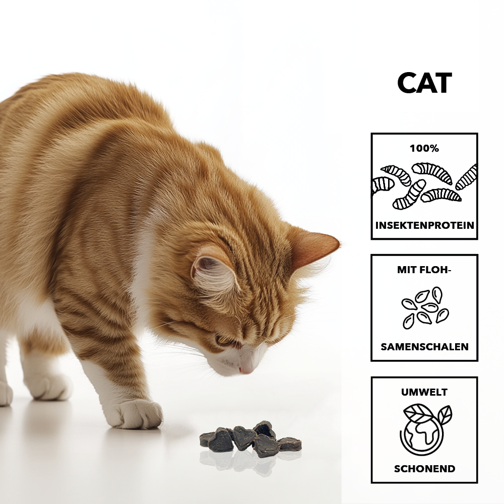 entoVITAL CAT Soft Snacks - Neue Rezeptur