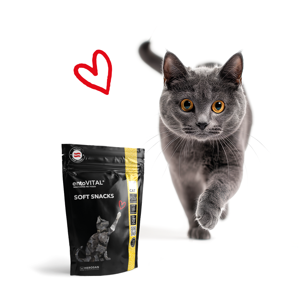 entoVITAL CAT Soft Snacks - Neue Rezeptur