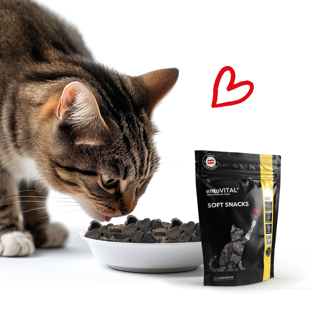 entoVITAL CAT Snack morbidi