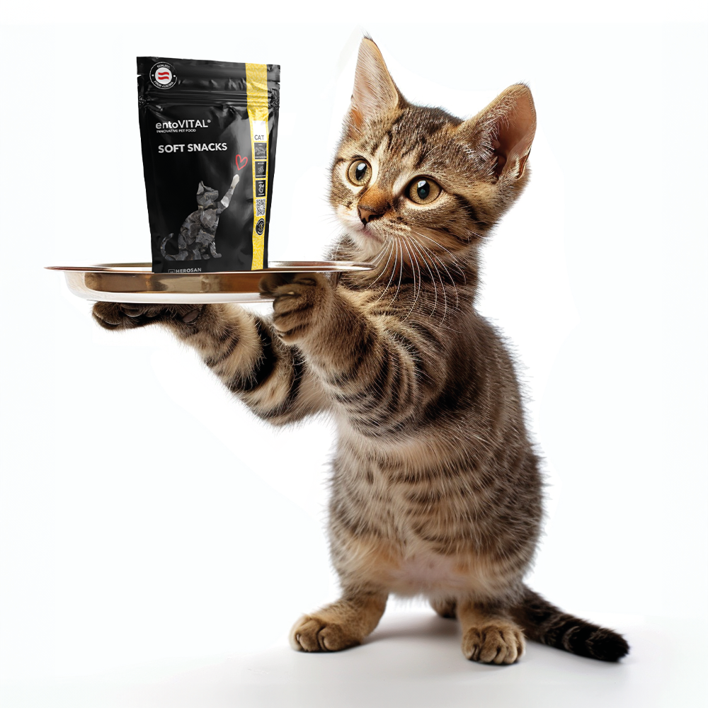 entoVITAL CAT Soft Snacks - Neue Rezeptur