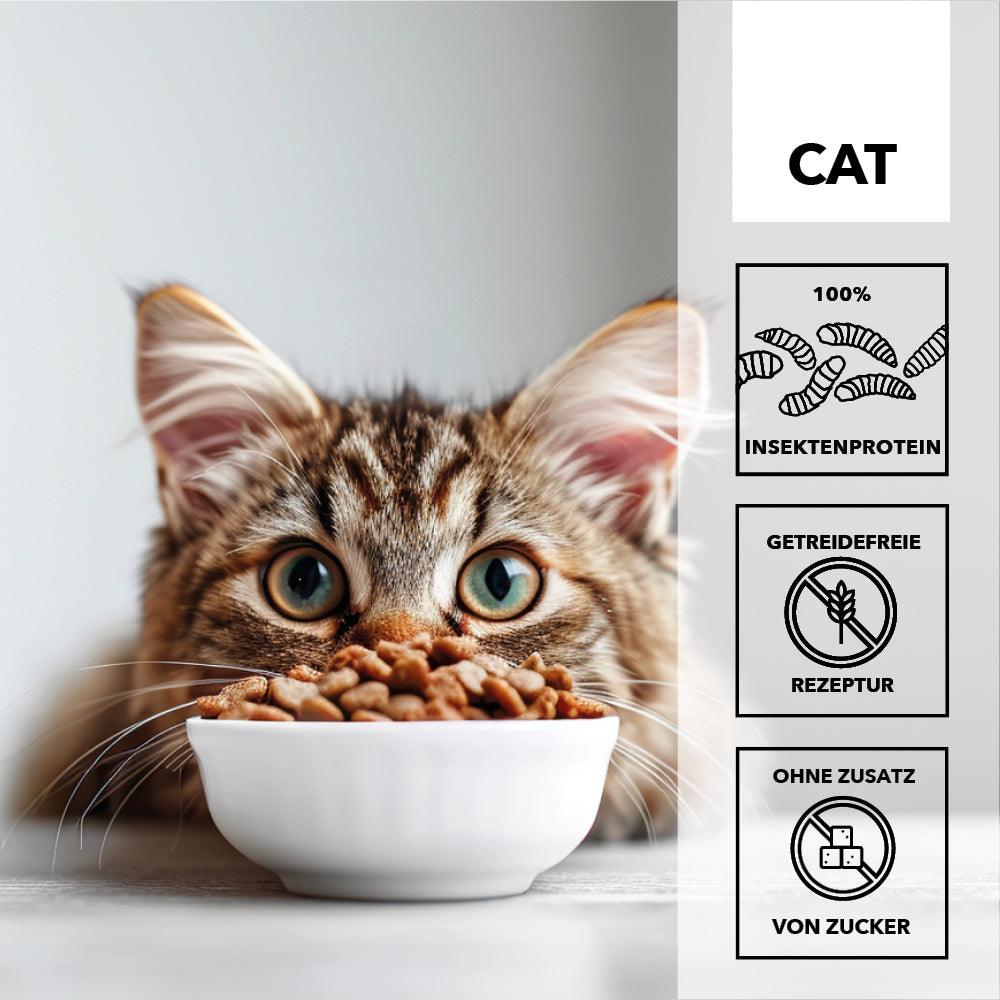 entoVITAL CAT HYPOALLERGENIC