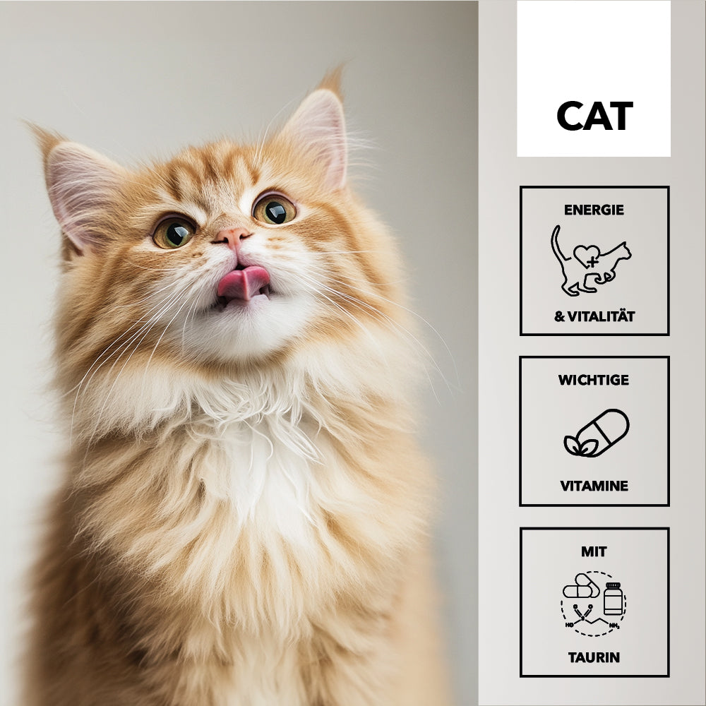 entoVITAL CAT vitamin boost