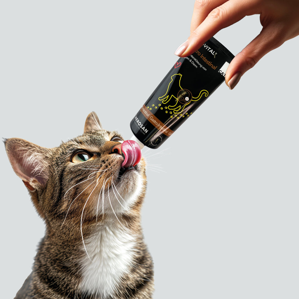 entoVITAL CAT gastro intestinal