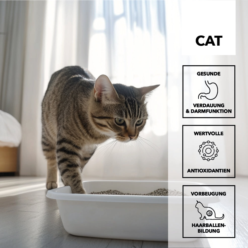 entoVITAL CAT gastro intestinal