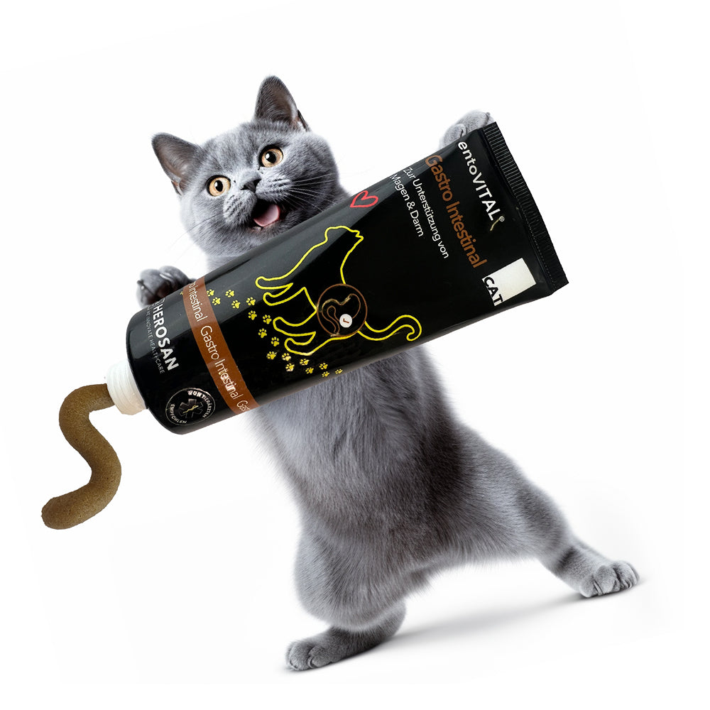 entoVITAL CAT gastro intestinal