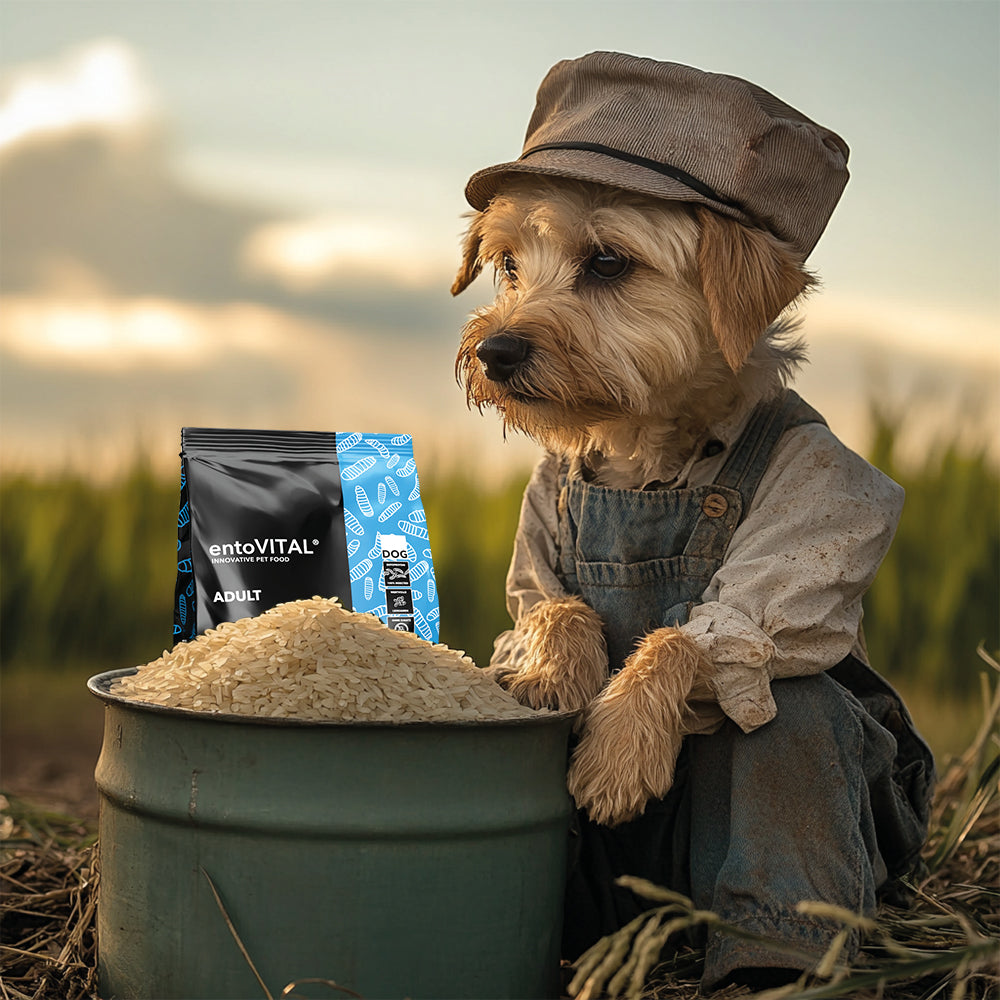 entoVITAL DOG ADULT