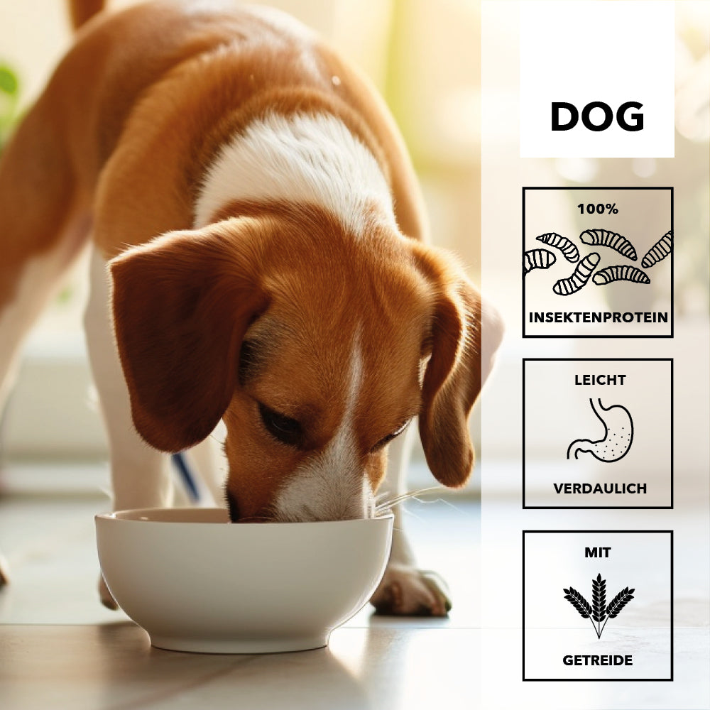 entoVITAL DOG ​​ADULT