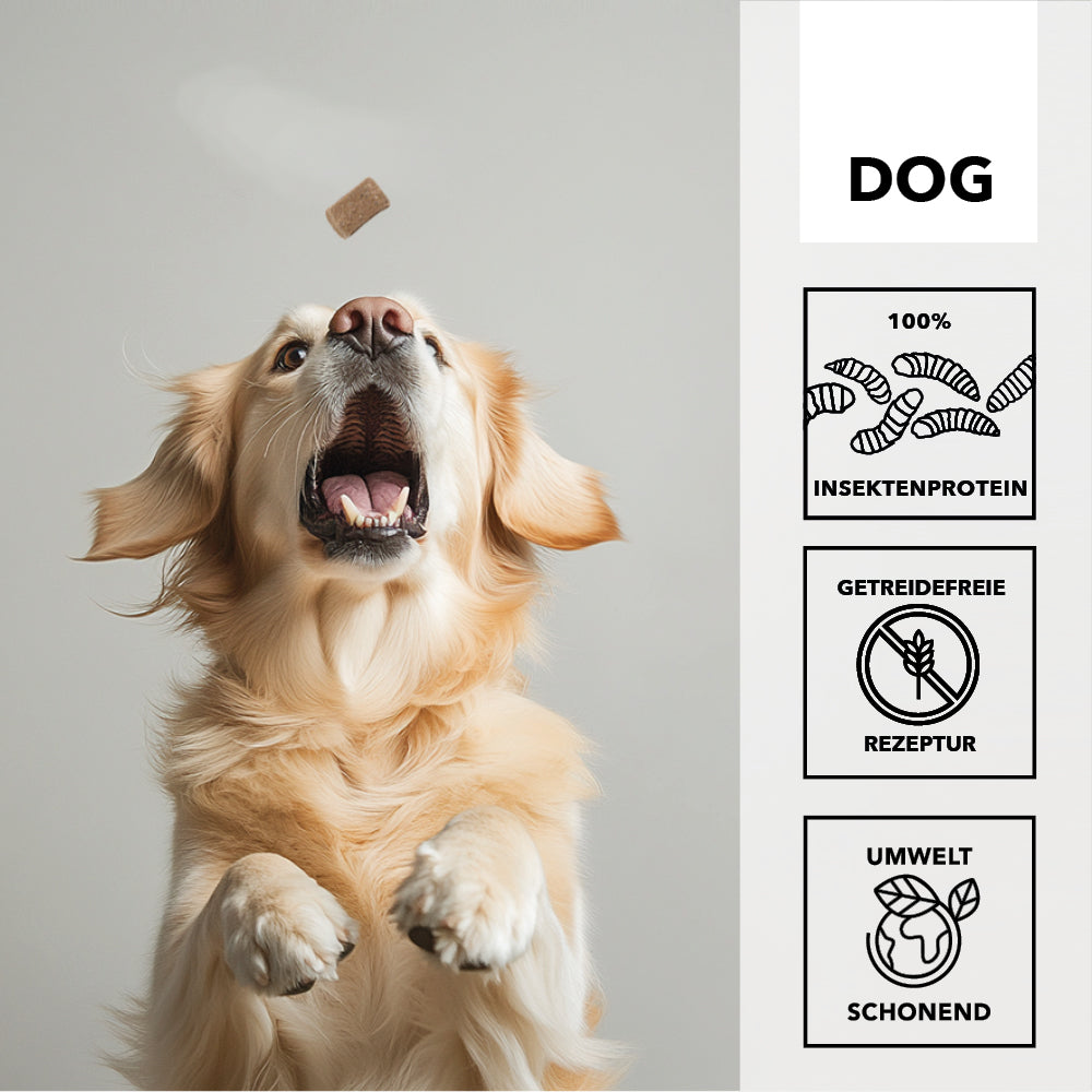 entoVITAL DOG Cubes