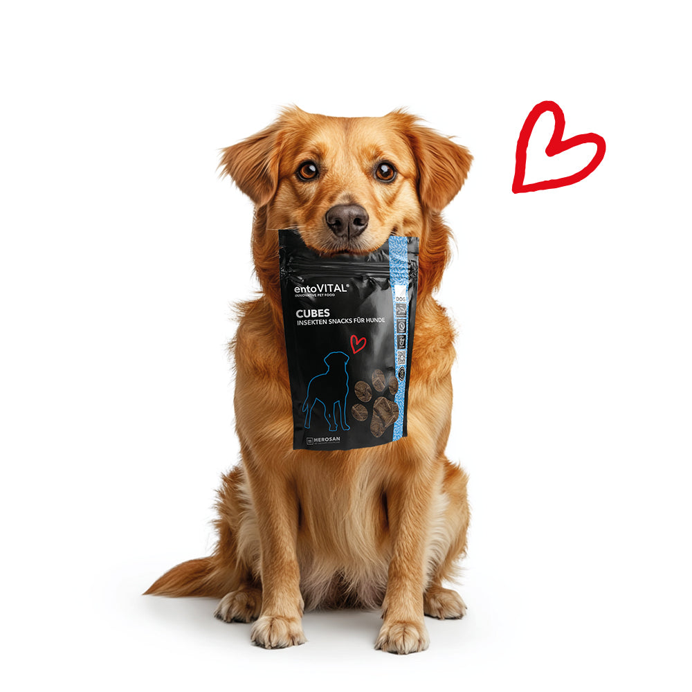 8x Cubi entoVITAL DOG